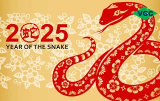 YEAR OF SNAKE