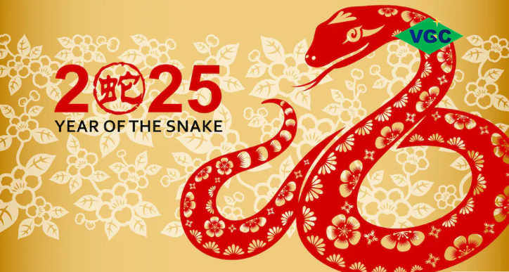 YEAR OF SNAKE